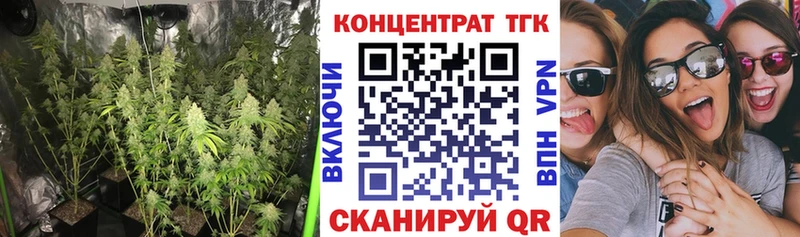 Дистиллят ТГК концентрат Искитим