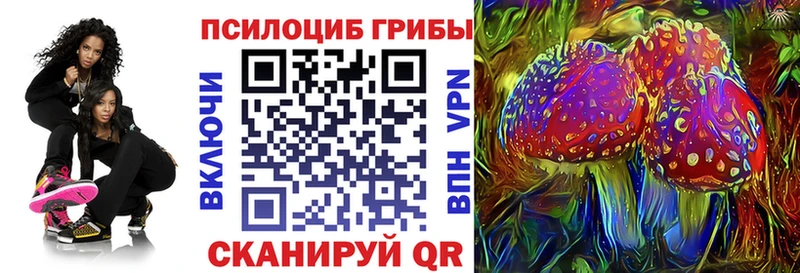 ОМГ ОМГ вход  Искитим  Псилоцибиновые грибы мицелий 