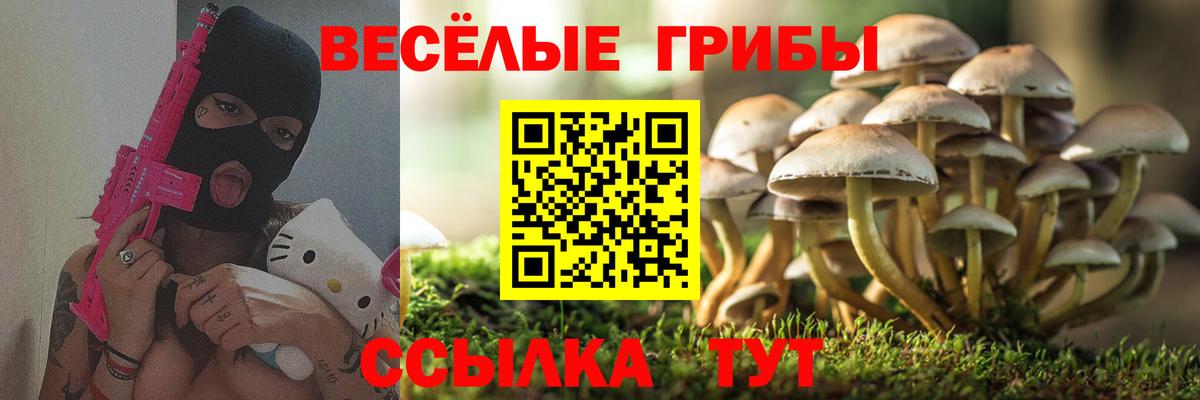 Искитим  Псилоцибиновые грибы Cubensis  Вход с VPN 